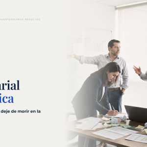 AGILIDAD EMPRESARIAL ESTRATÉGICA